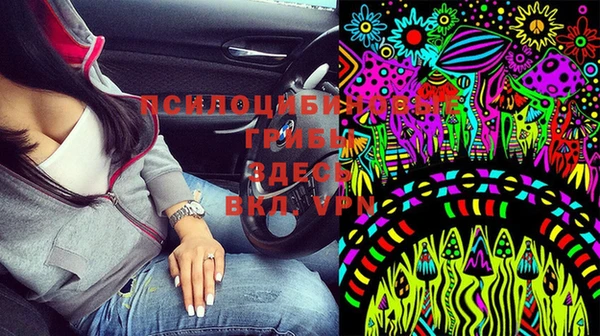 мдма Новозыбков