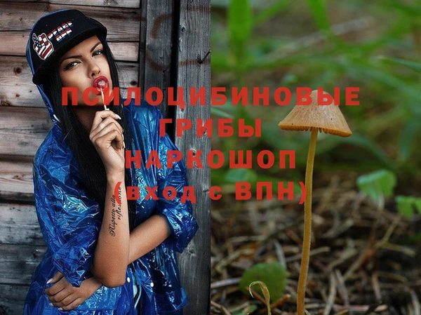 круглые Новокубанск