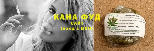 шишки Няндома