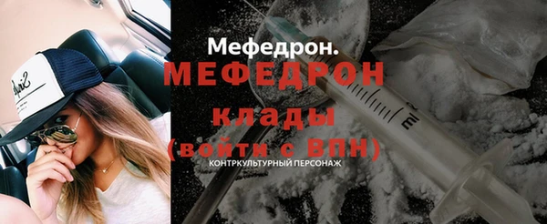 шишки Няндома