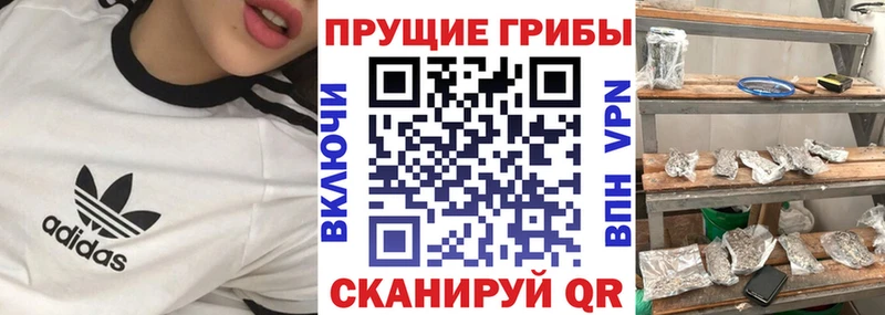 мега Приволжск Псилоцибиновые грибы мицелий